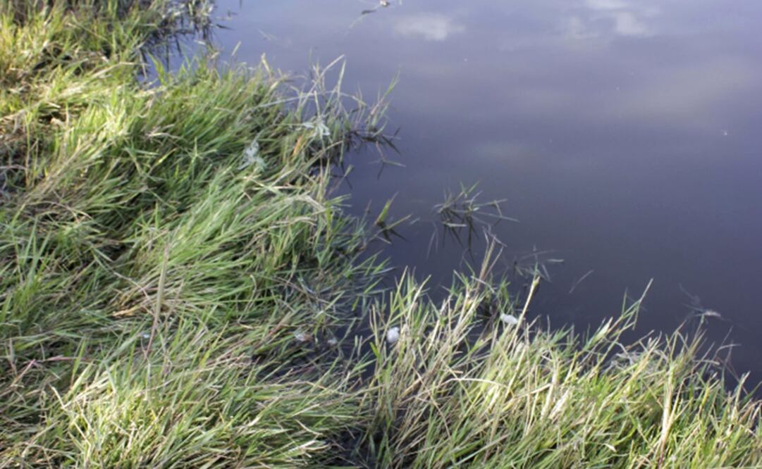 Fotografía: Archivo