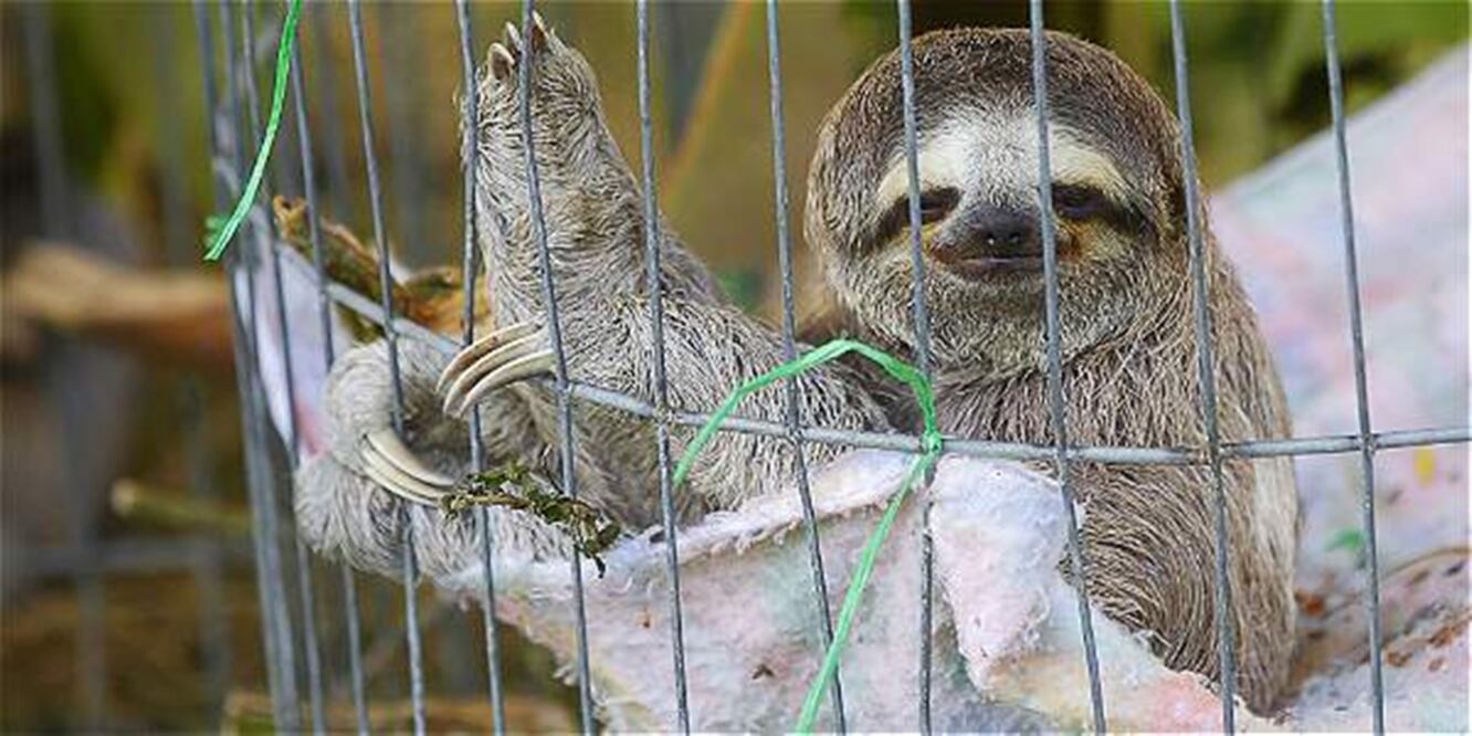 Tomada de El Tiempo/ GDA