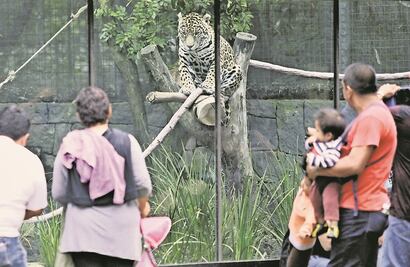 Capacitan a personal de zoológicos de CDMX en manejo animal