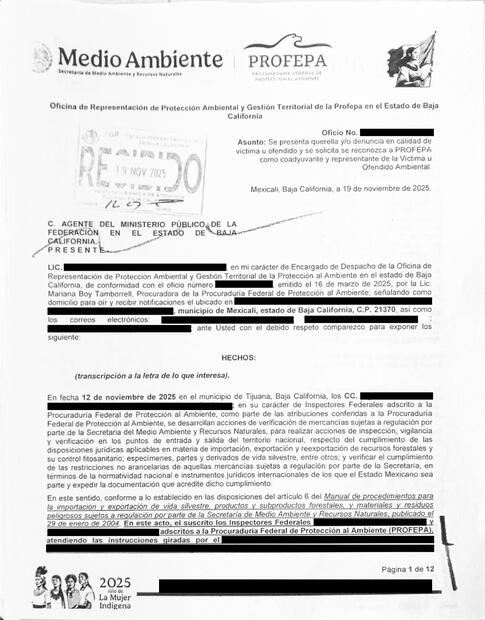 Profepa denuncia ante la FGR caso de 774 tortugas traficadas como cosméticos (21/11/2025). Foto: X (@PROFEPA_Mx)