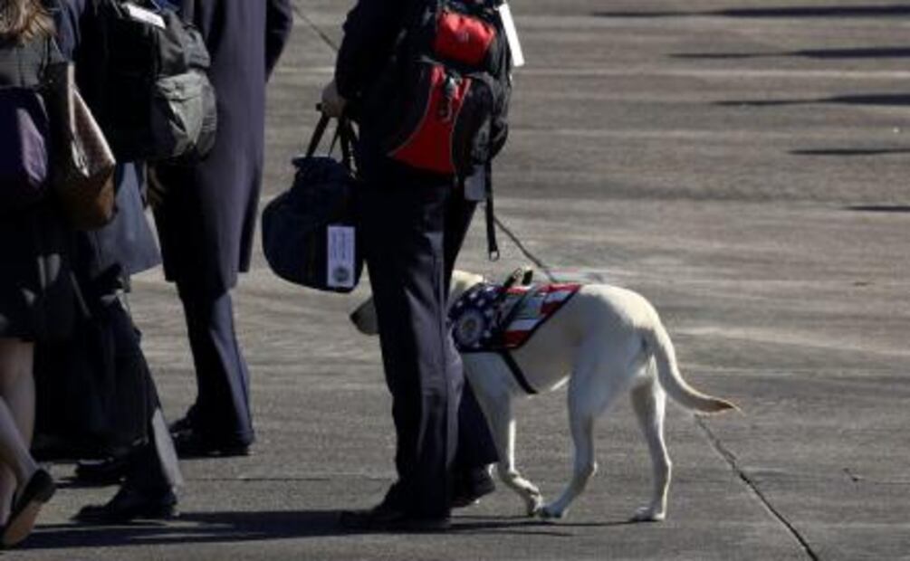 Sully, el perro de George H.W. Bush que no se separa del ex presidente