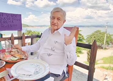 “Plantas están generando más energía”