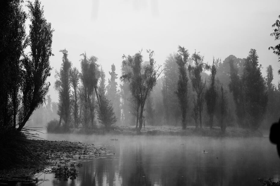 Disfruta del cine de horror al aire libre en la chinampa más espeluznante de CDMX.
Foto: Pexels. ἐμμανυελ.