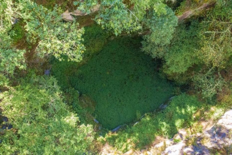 Selección de la editora: 5 paraísos de vida silvestre en México que otros países envidiarían