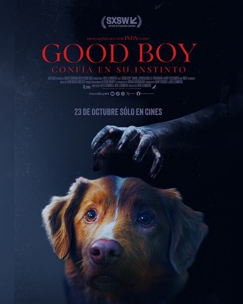 La cinta de "Good boy" estrena en México el jueves 23 de octubre. Foto: Zigma ENTERTAINMENT