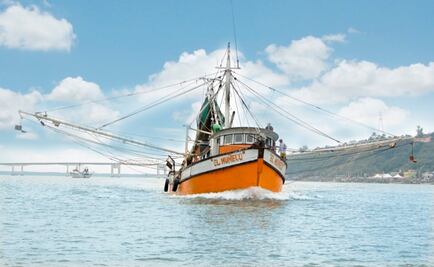 Actualizan periodos de veda de camarón en Golfo de México y Mar Caribe