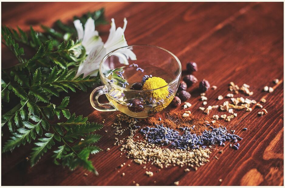 Diferencia entre tisana y té. Foto: Unsplash