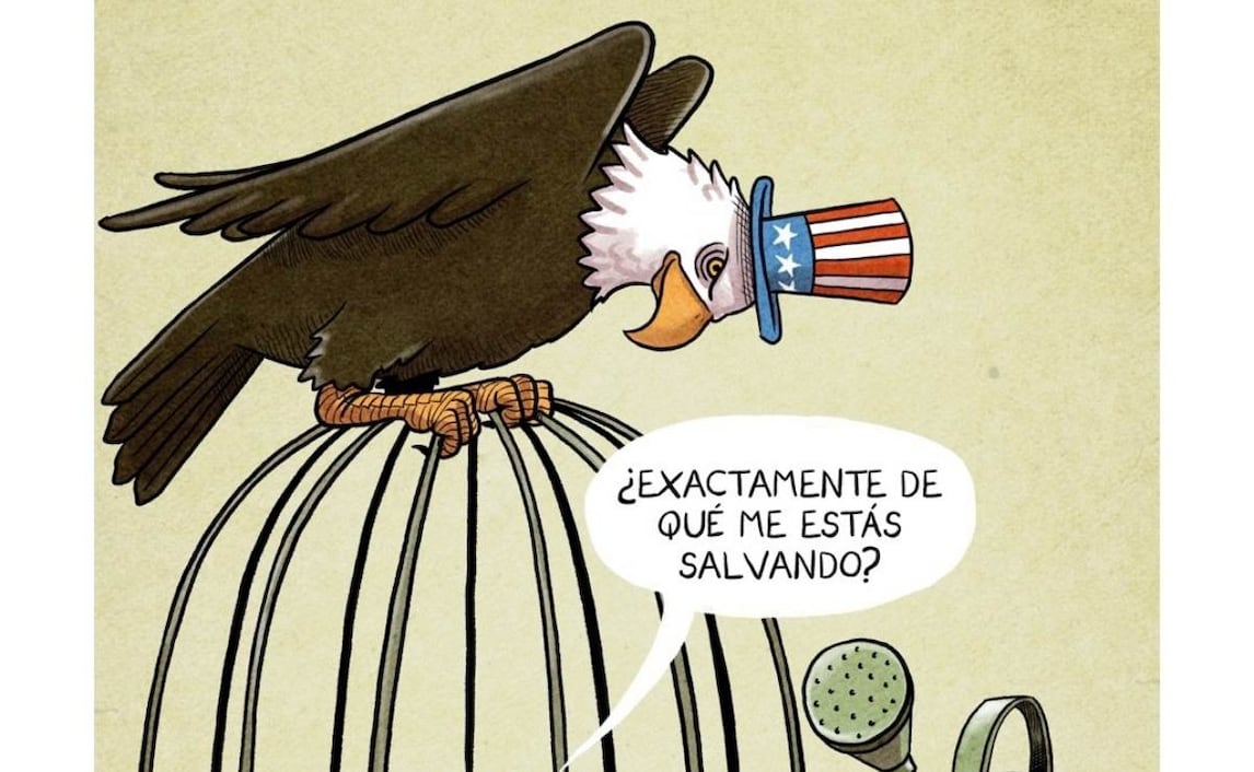 Cartón de CHELO