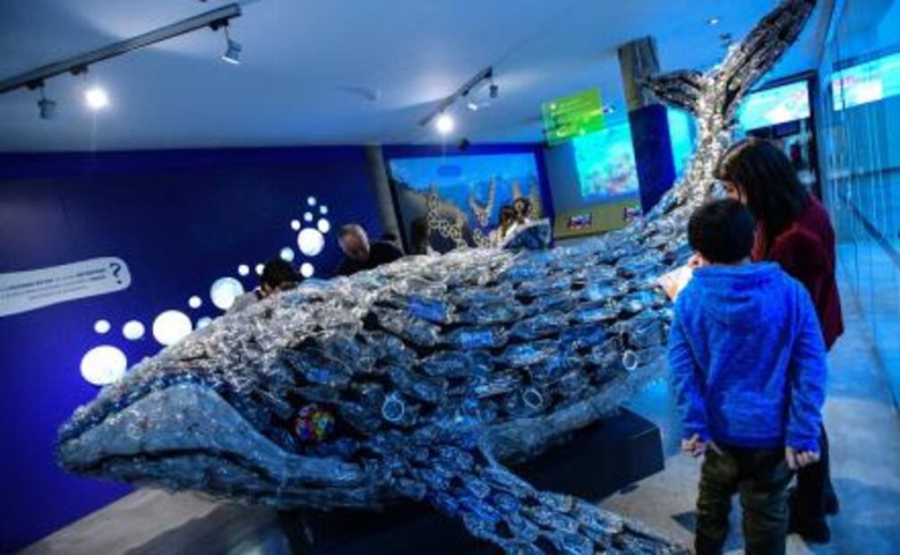 Las "voces" de las ballenas llegan al corazón de Santiago