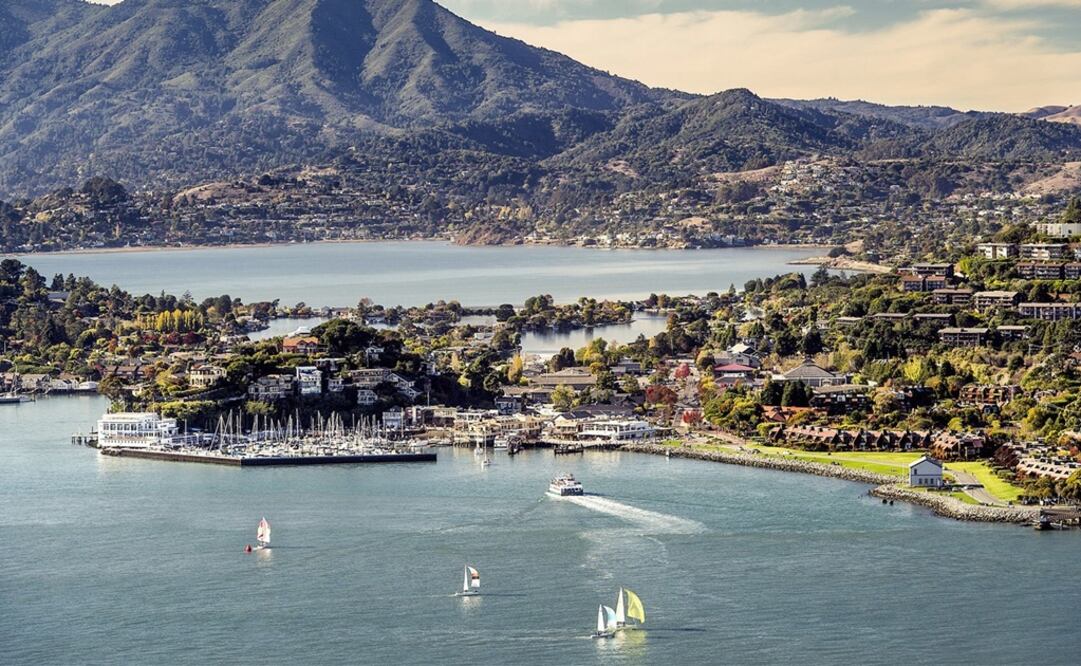 Foto: tomada de Website Tiburón, California