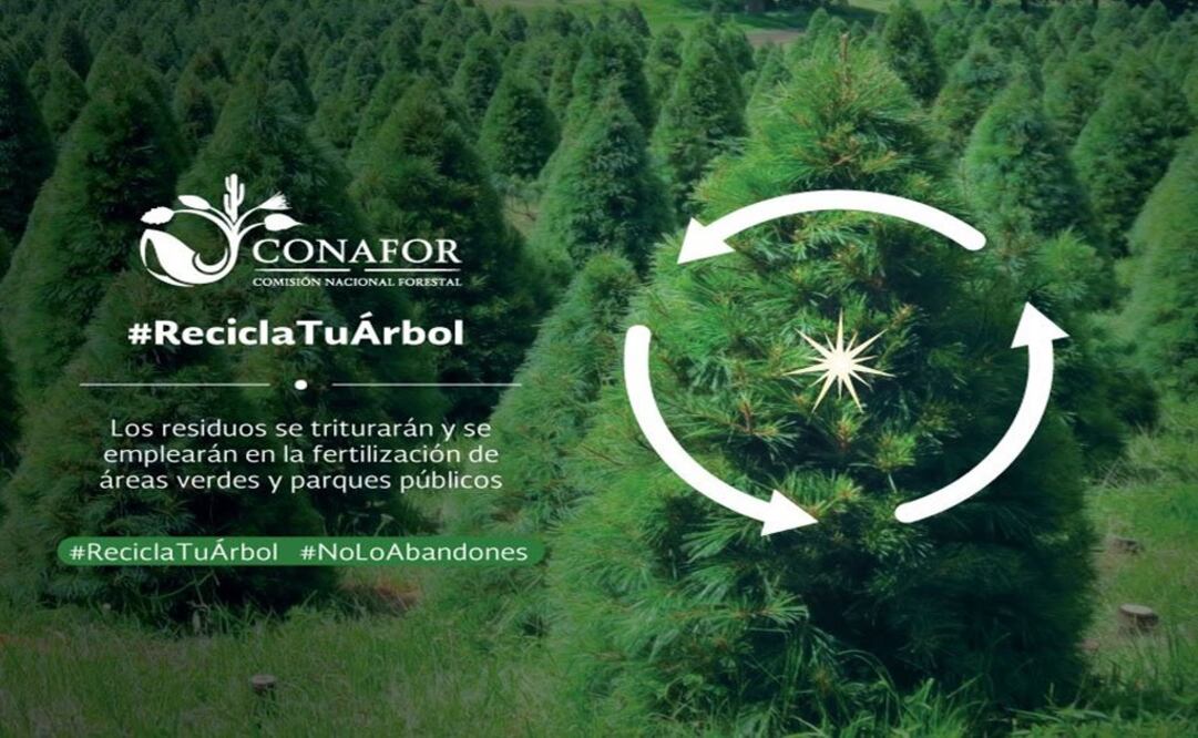 (Foto: Tomada de @CONAFOR)