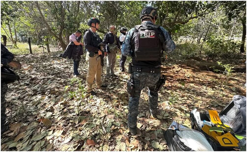 Operativos en ranchos ubicados en el municipio de La Concordia, Chiapas (28/12/2024). Foto: Especial