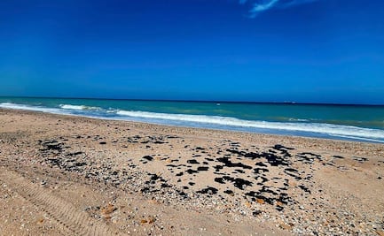 Las playas más sucias para nadar en estas vacaciones: Cofepris