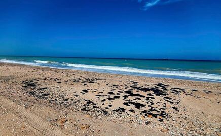 Las playas más sucias para nadar en estas vacaciones: Cofepris