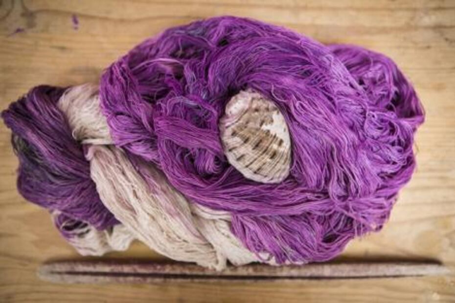 The Pre-Hispanic dye on the brink of extinction 