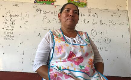 Ante falta de televisión y computadora, maestra acudirá casa por casa a dar clase en Michoacán