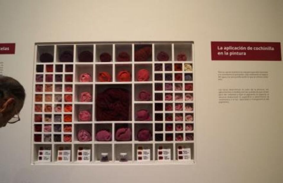 The insect which dyed the world red