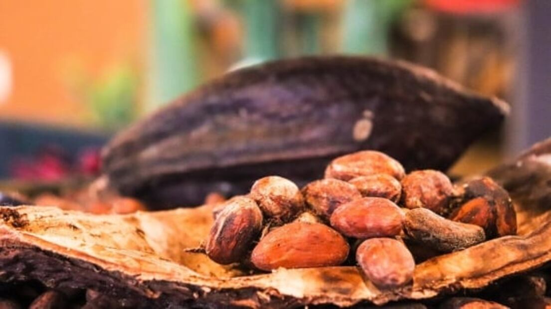 Visita la Feria Nacional de Cacao y Chocolate 2022