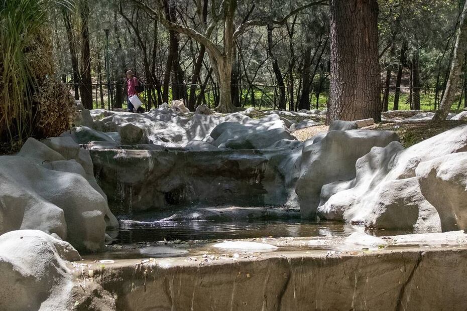 Foto: Facebook ‘Bosque de Chapultepec’