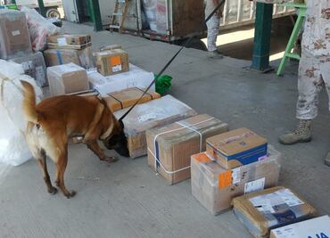 Sedena asegura más de 10 kilos de droga en servicio de paquetería en BCS