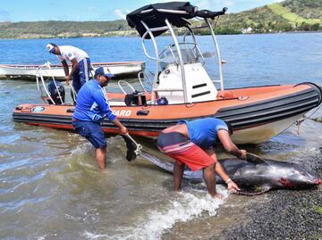 Mauritius marine life threatened after a stranded Japanese oil tanker splits apart