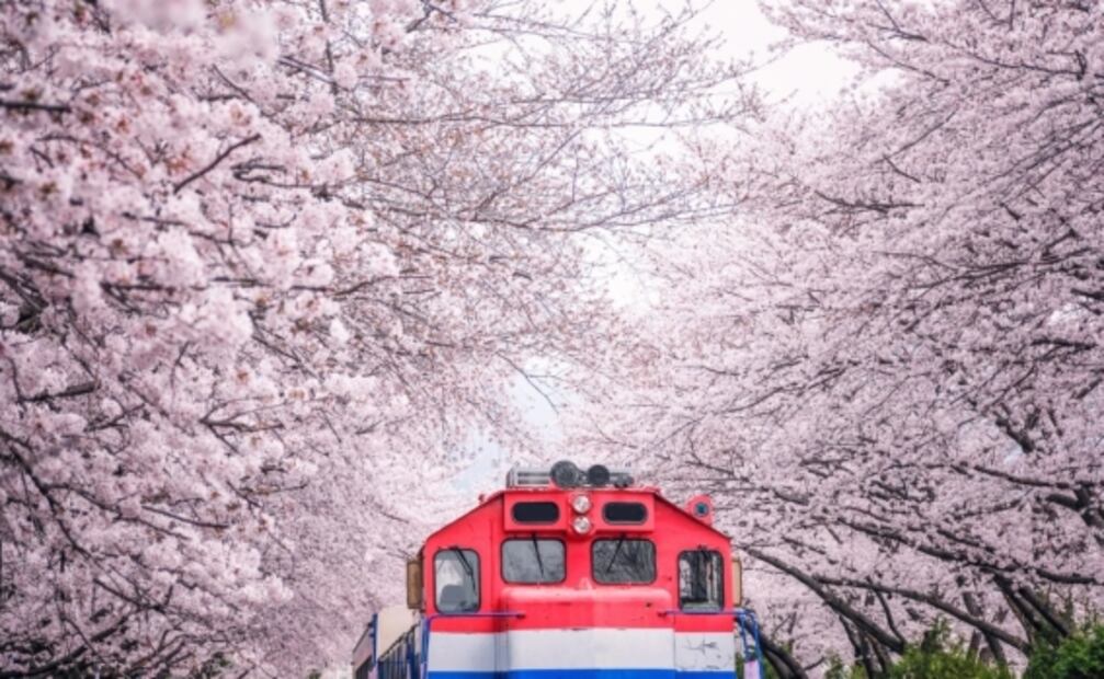 El Top 10 de los lugares para soñar con un viaje a Surcorea