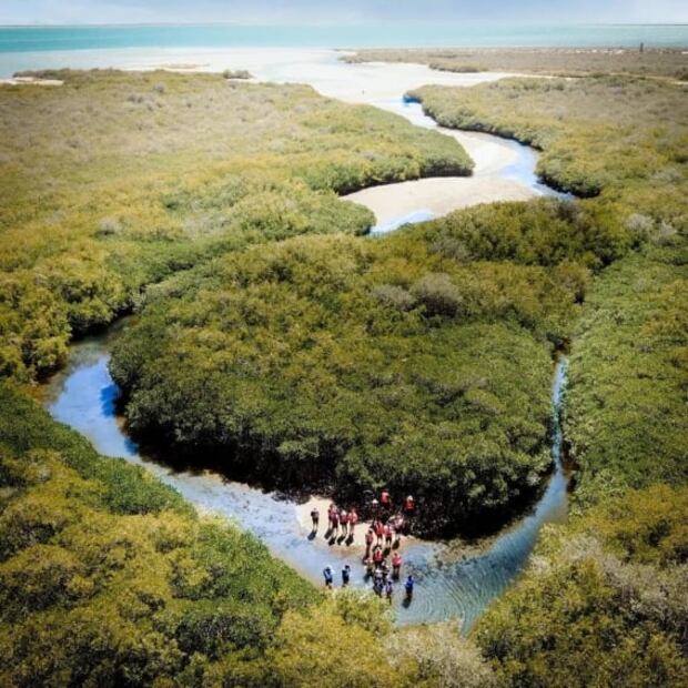 Isla Tiburón, tierra sagrada a la que no puedes llegar sin permiso