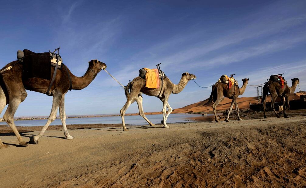 El desierto suroriental de Marruecos es uno de los lugares más áridos del mundo y no suele tener lluvia al final del verano. Foto: AFP