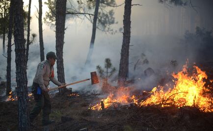 Siete incendios forestales activos en Puebla