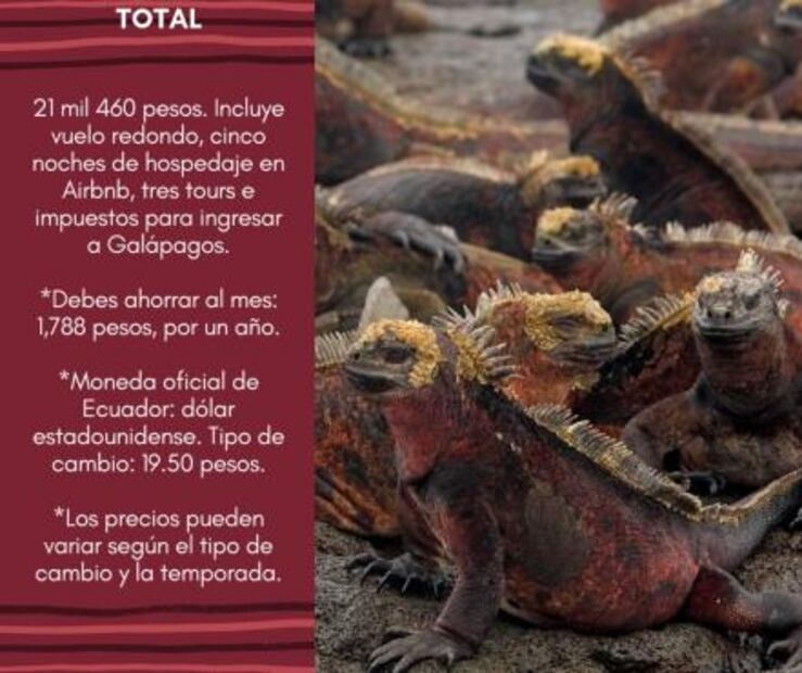 ¿Cuánto debes ahorrar para viajar a Galápagos?