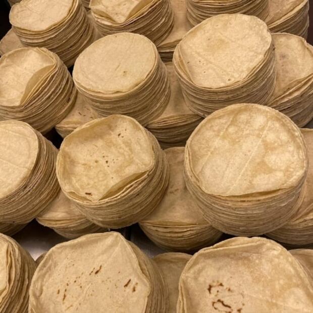 Cómo identificar una tortilla pirata y cuáles son los riesgos de consumirlas