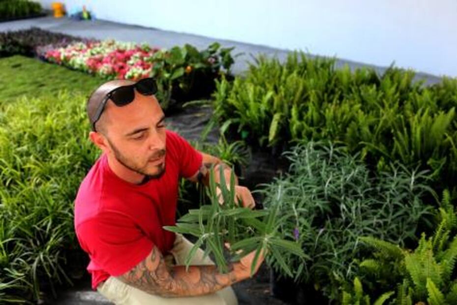 El hombre que “pinta” murales vegetales