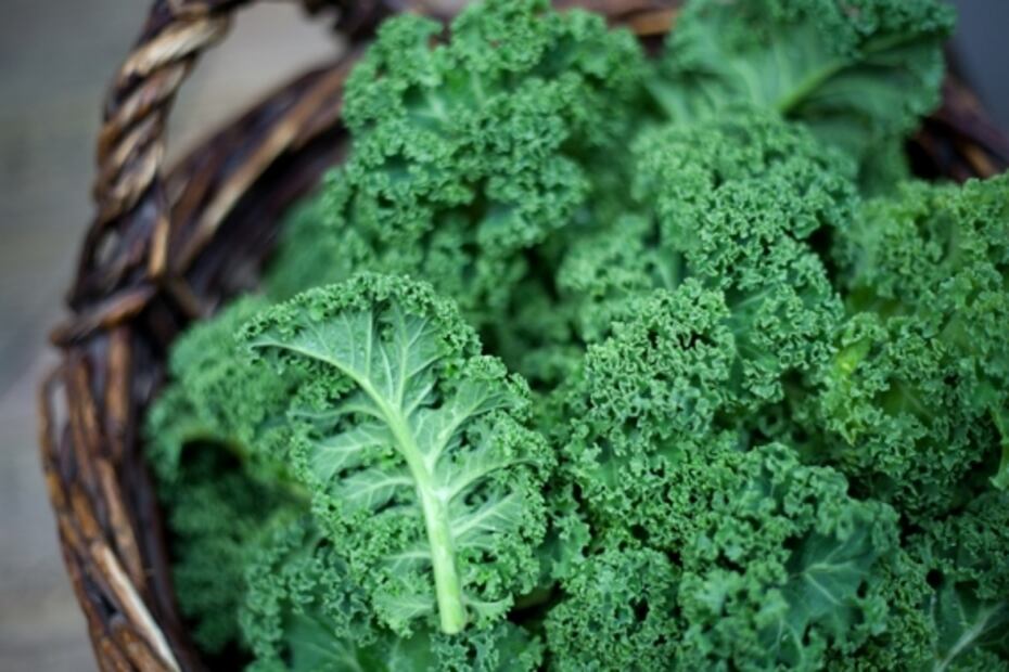 Jugos verdes para fortalecer tu sistema inmunológico