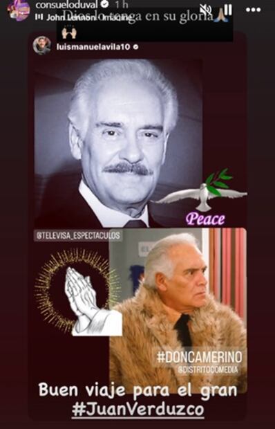 Con esta imagen, Consuelo Duval se despidió del querido Don Camerino. Foto: Instagram.