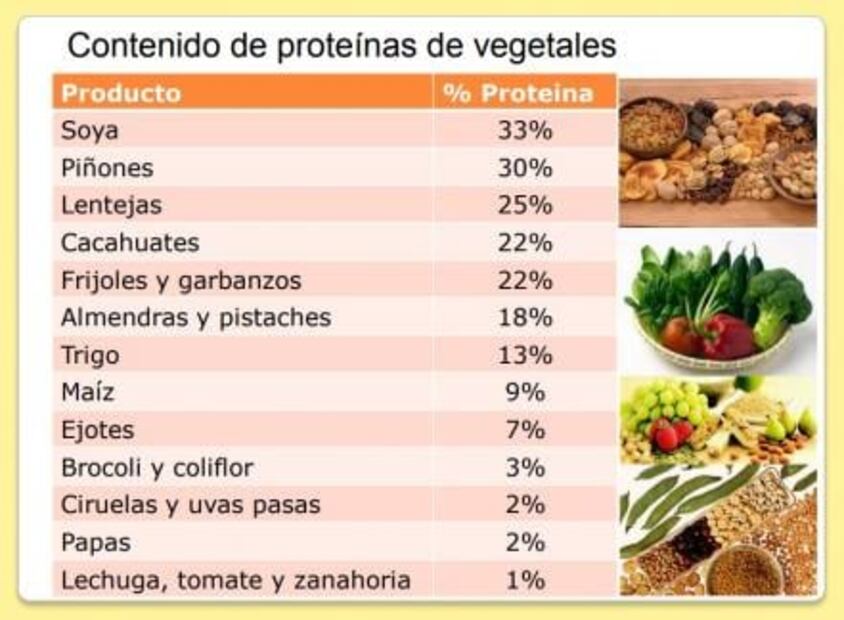 ¿Sabes cuántas proteínas tienen las verduras?