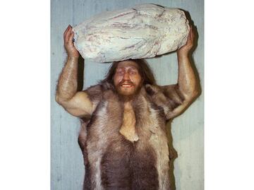 Neandertales tenían sentido estético: Estudio