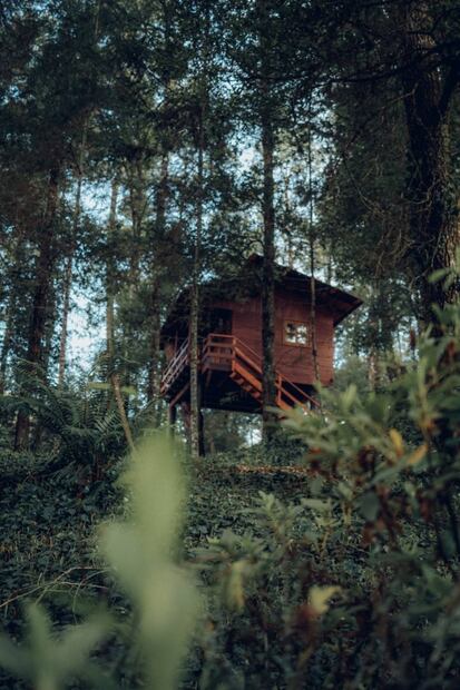 Cabañas en los árboles y burbujas para disfrutar del frío en pareja