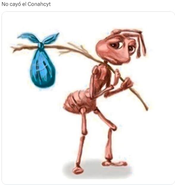 Captura vía X.