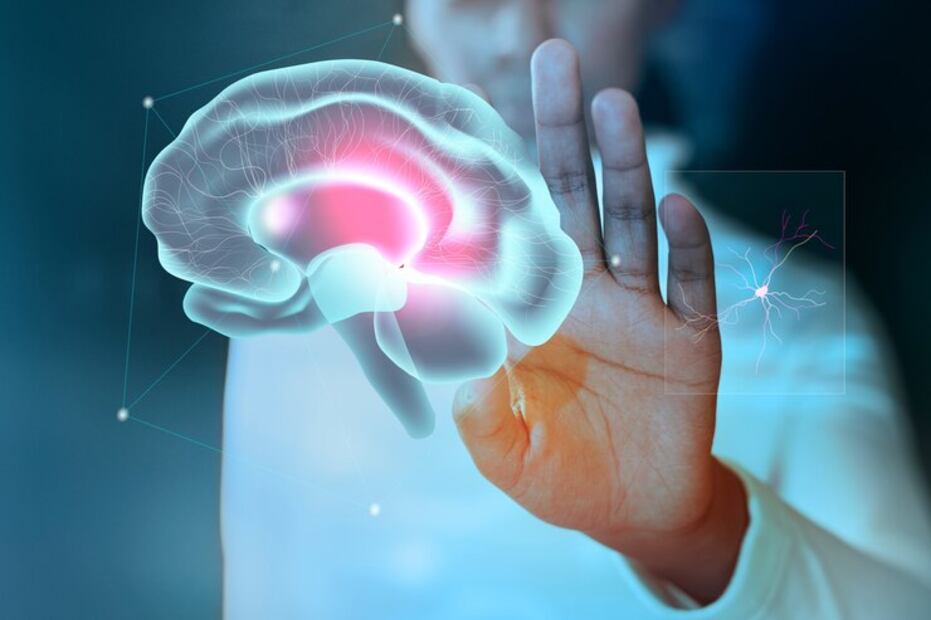 Una legumbre para el cerebro. Fuente: Freepik