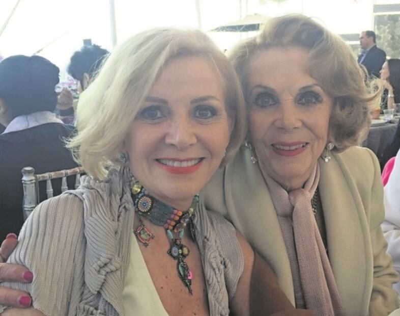 Ministro propone dar amparo a cuñada de Gertz