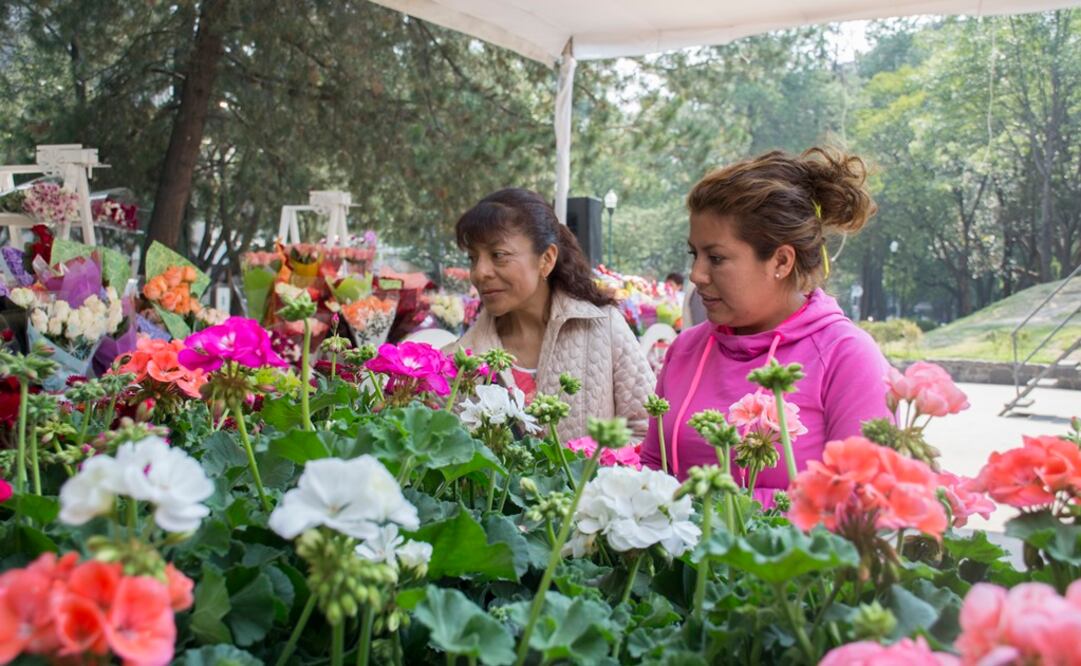 (Foto: Archivo / EL UNIVERSAL)