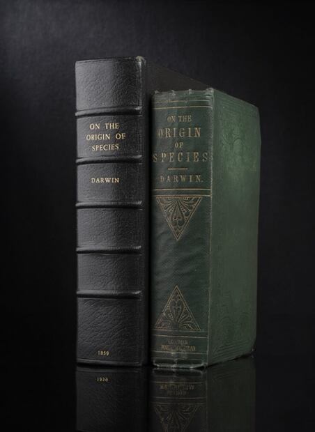 Carta firmada por Charles Darwin será subastada