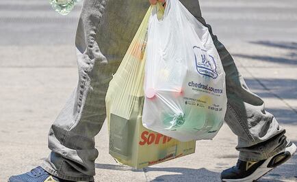Gobierno local sancionará a establecimientos que den bolsas de plástico