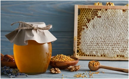 Miel de melipona: un tesoro de Yucatán