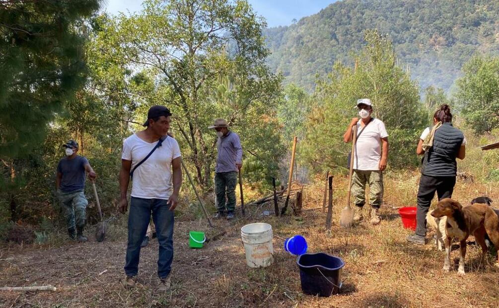 Brigadistas y vecinos realizan trabajos de combate de incendios forestales en Oaxaca (16/04/2025). Foto: Especial