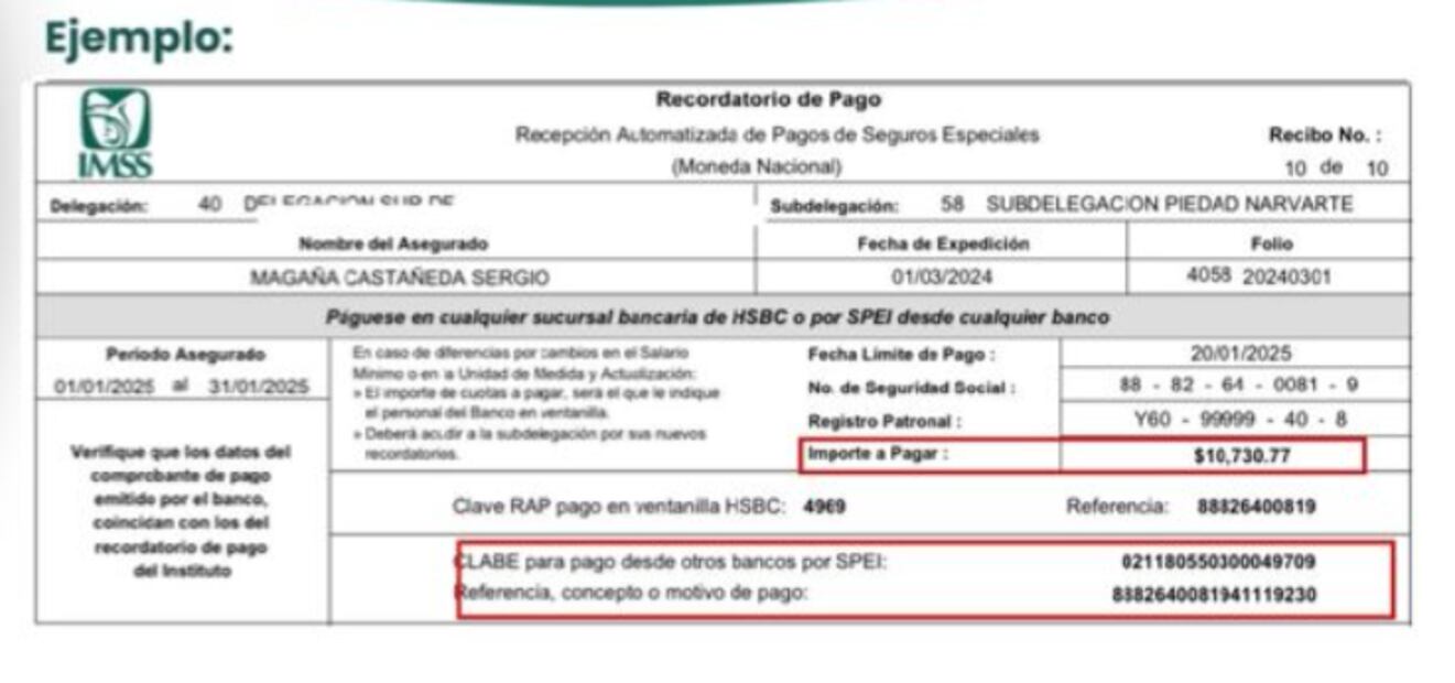 Ejemplo de Talón o Recordatorio de Pago para poder ubicar la información necesaria. Foto: IMSS