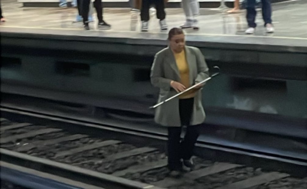 Retiro de basto de las vías del Metro (24/06/2025). Foto: Especial
