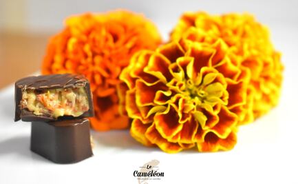 Prueba estos ricos chocolates rellenos con cempasúchil en Le Caméléon 