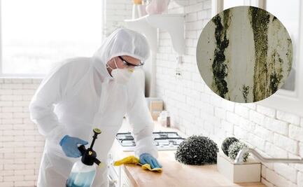 ¿Cómo quitar el moho de tu baño y cocina? dos trucos rápidos y sencillos para eliminarlo