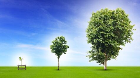 Los mecanismos en español para hacer todo más grande